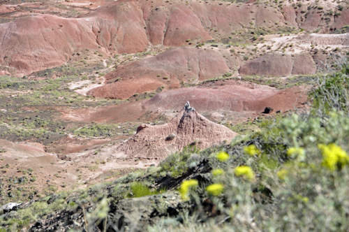 Tiponi Point in the Painted Desert